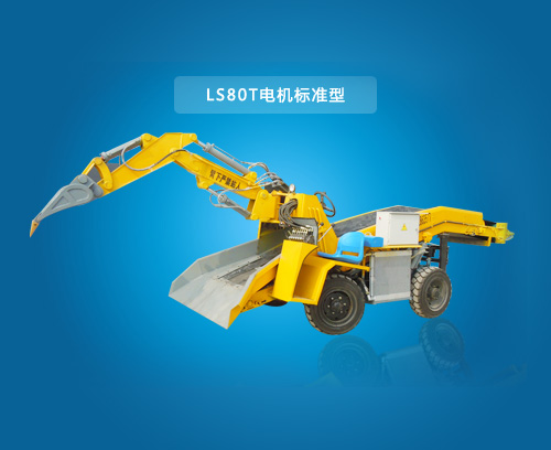 LS80T-電機(jī)標(biāo)準(zhǔn)型扒渣機(jī)